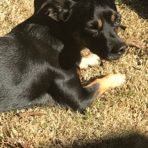 Meet your Posher, Adela